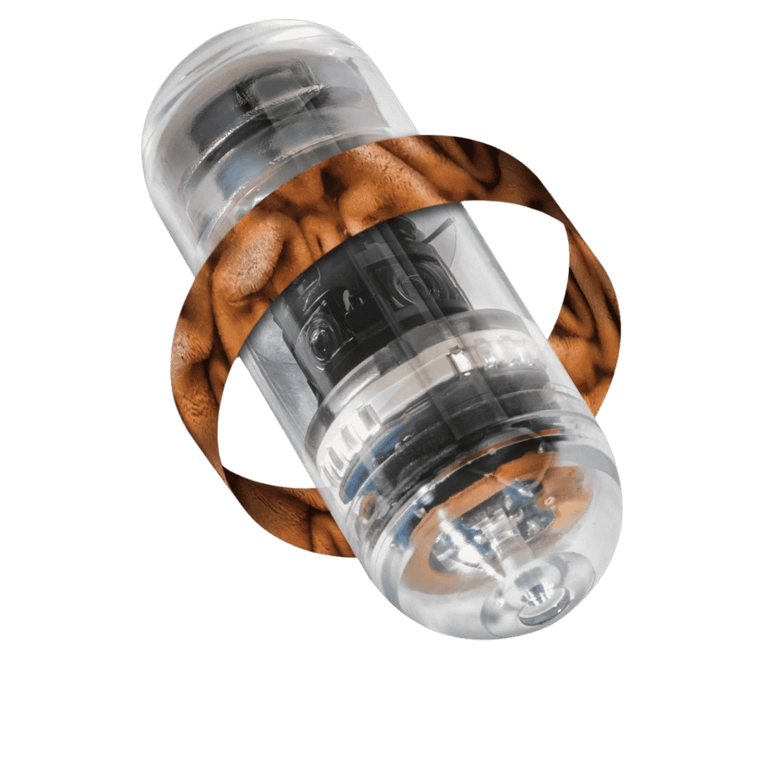 CAPSULA1