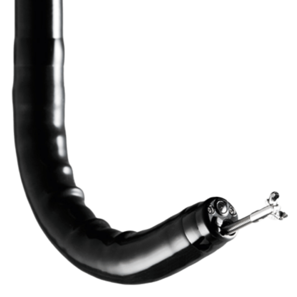 EG-600WR  | Gastroscopio de Rutina