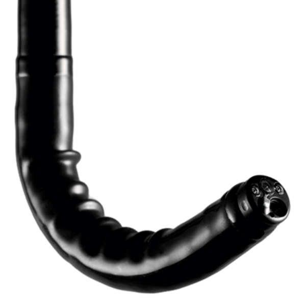 EG-760R | Gastroscopio de Rutina